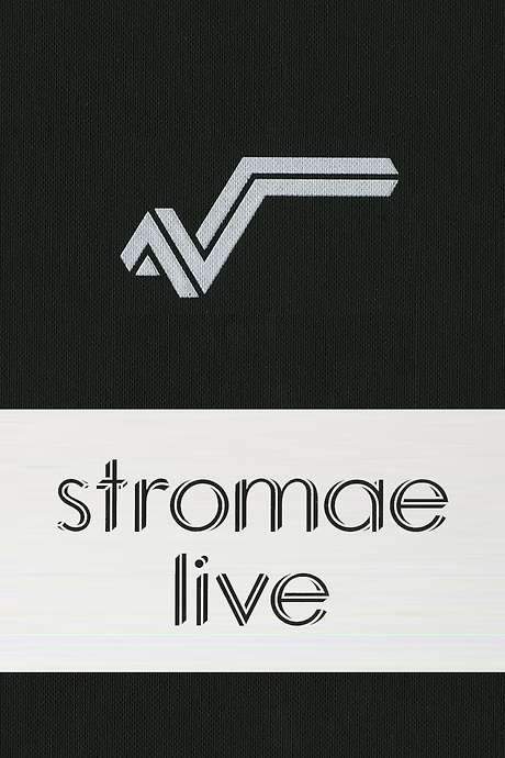 Stromae: Racine carrée Live (2015) movie poster