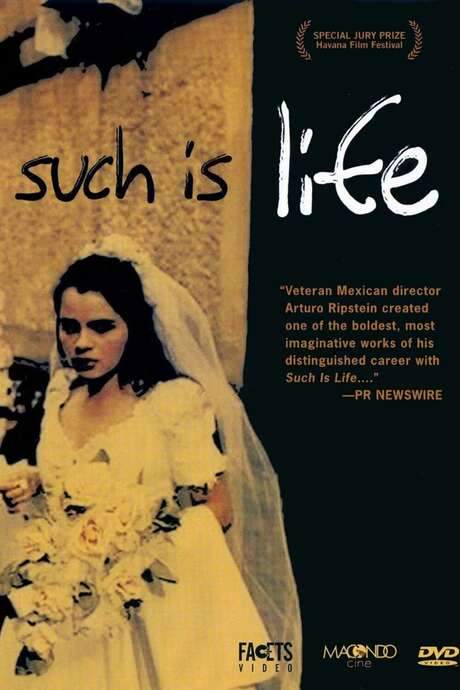 Such is Life (2000) movie poster