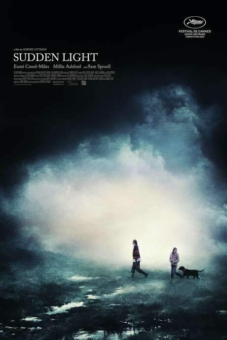 Sudden Light (2020) movie poster