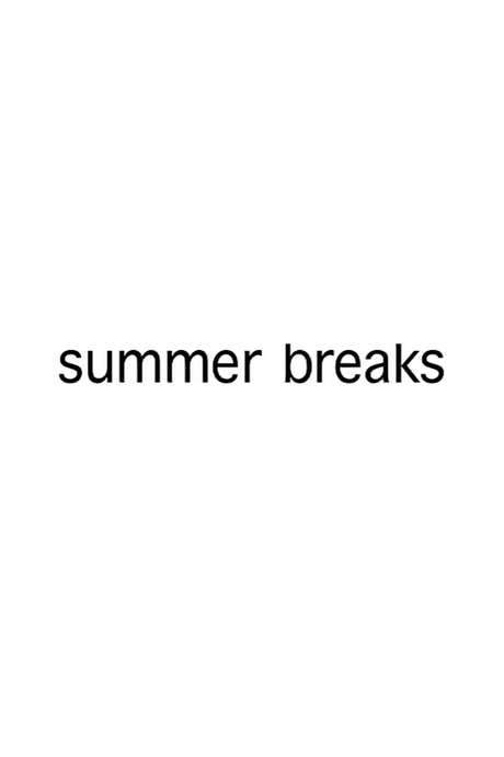 Summer Breaks (2008) movie poster