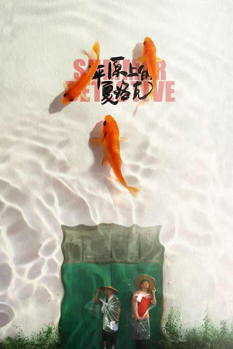 Summer Detective (2019) movie poster