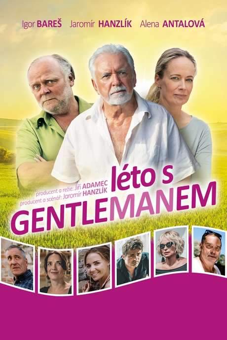 Summer with the gentleman (2019) movie poster