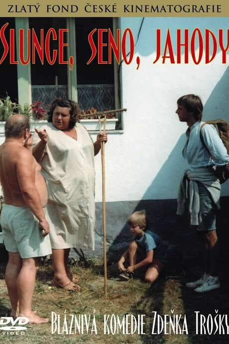Sun, Hay, Berries (1984) movie poster