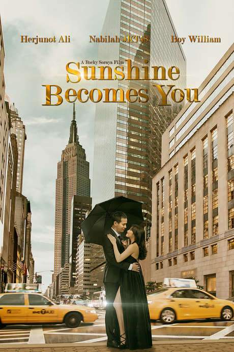 Sunshine Becomes You (2015) movie poster