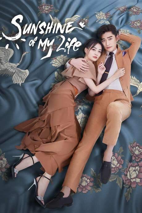Sunshine of My Life (2021) movie poster