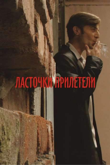 Swallows Have Arrived (2007) movie poster