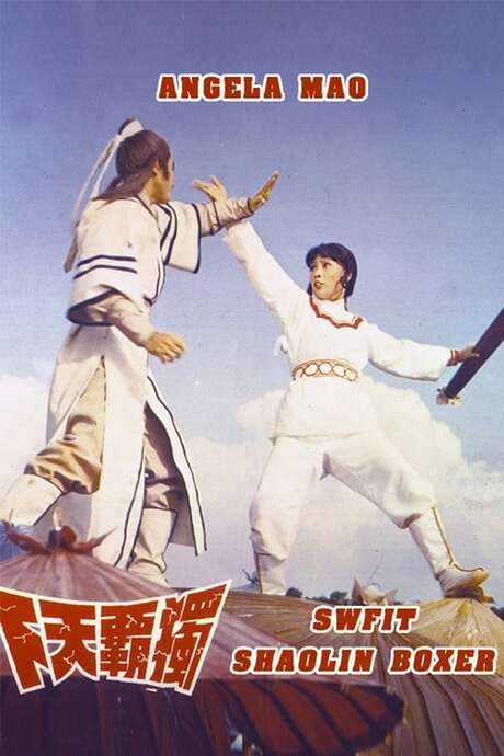 Swift Shaolin Boxer (1978) movie poster