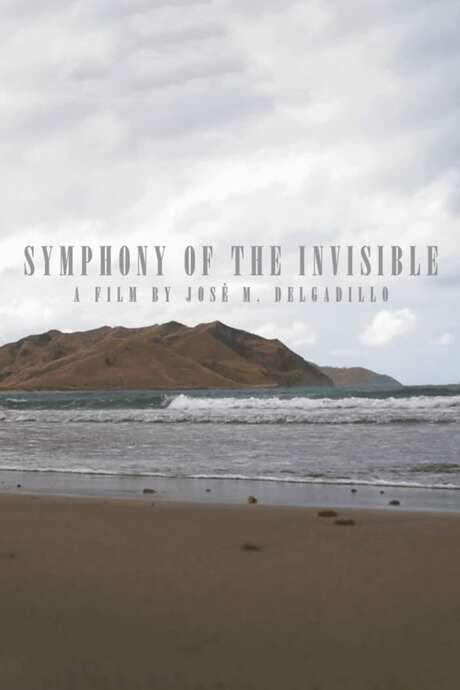 Symphony Of The Invisible (2020) movie poster