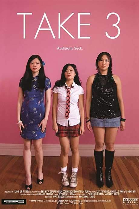 Take 3 (2008) movie poster