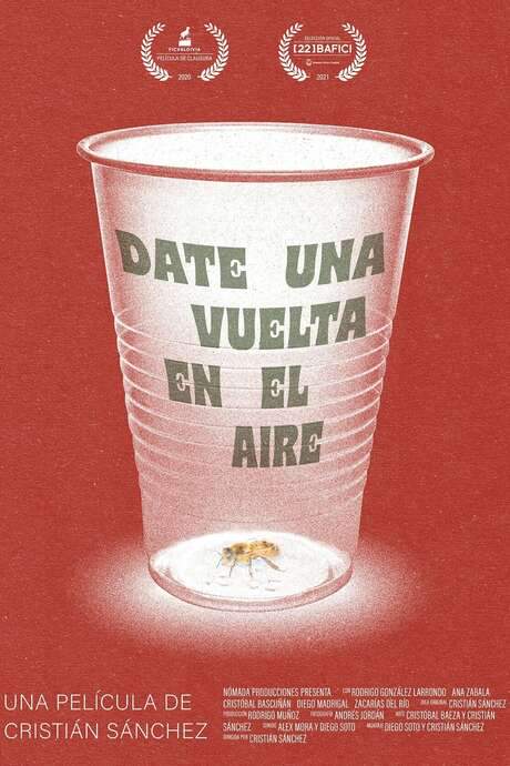 Take a Spin in the Air (2020) movie poster