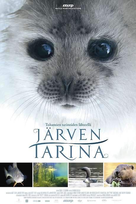 Tale of a Lake (2016) movie poster
