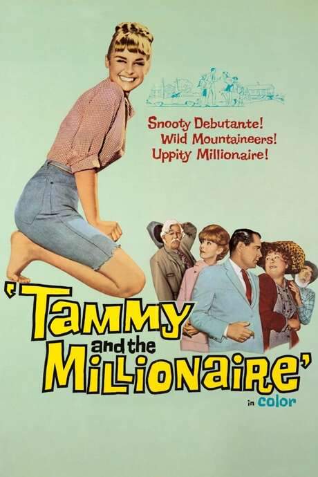 Tammy and the Millionaire (1967) movie poster