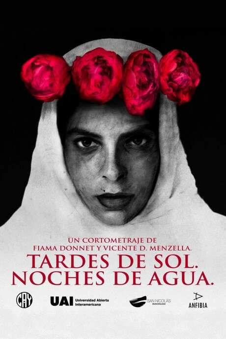 Tardes de sol. Noches de agua. (2019) movie poster