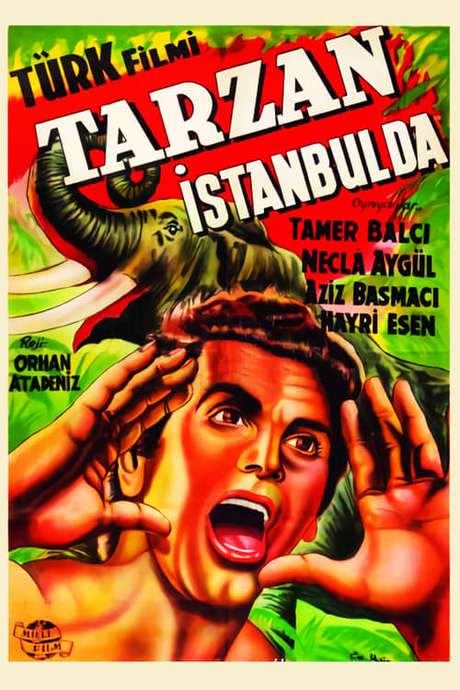 Tarzan in Istanbul (1952) movie poster