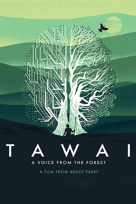 Tawai: A Voice from the Forest (2017) movie poster