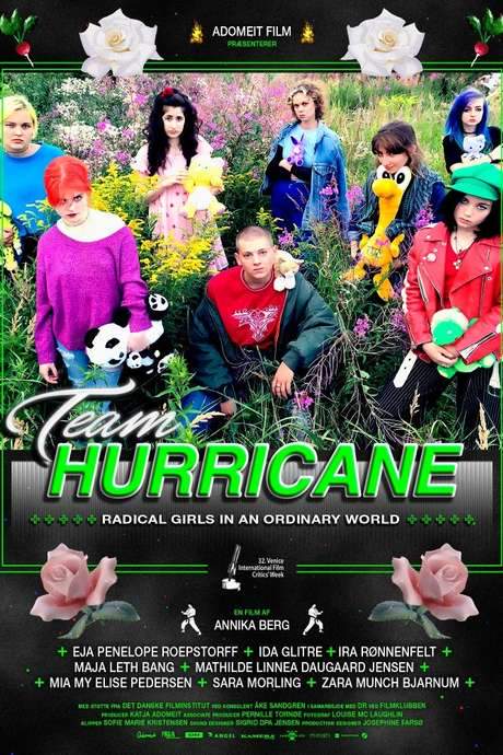 Team Hurricane (2017) movie poster