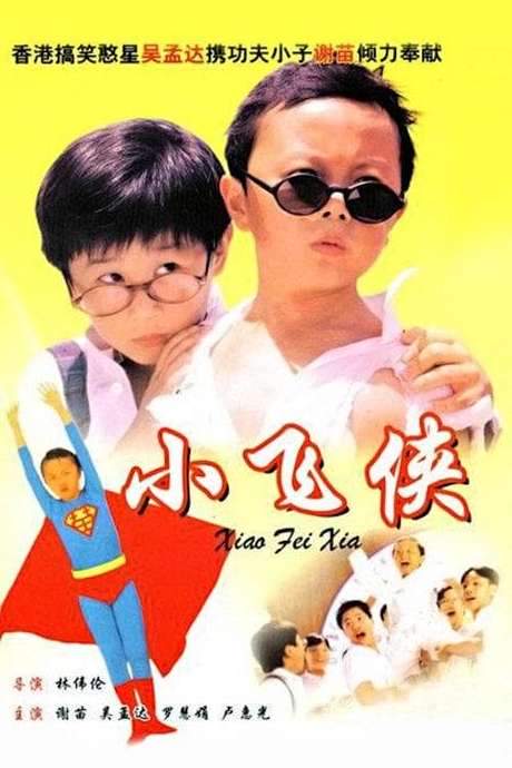 Teenage Master (1995) movie poster