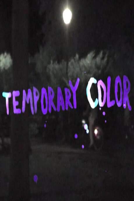 Temporary Color (2016) movie poster