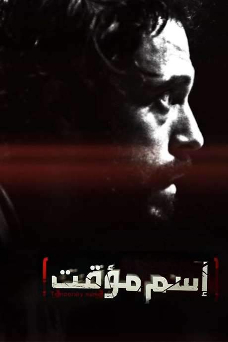 Temporary Name (2013) movie poster