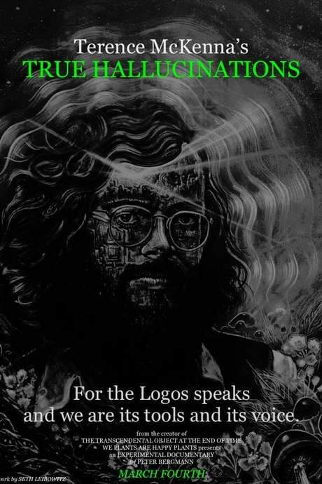 Terence McKenna’s True Hallucinations (2016) movie poster
