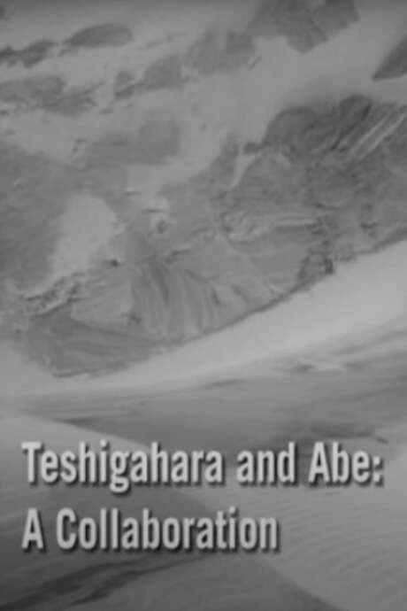 Teshigahara and Abe (2007) movie poster