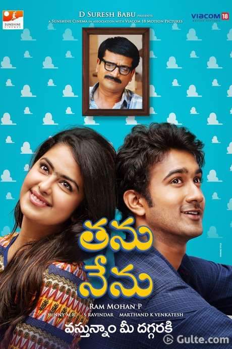 Thanu Nenu (2015) movie poster