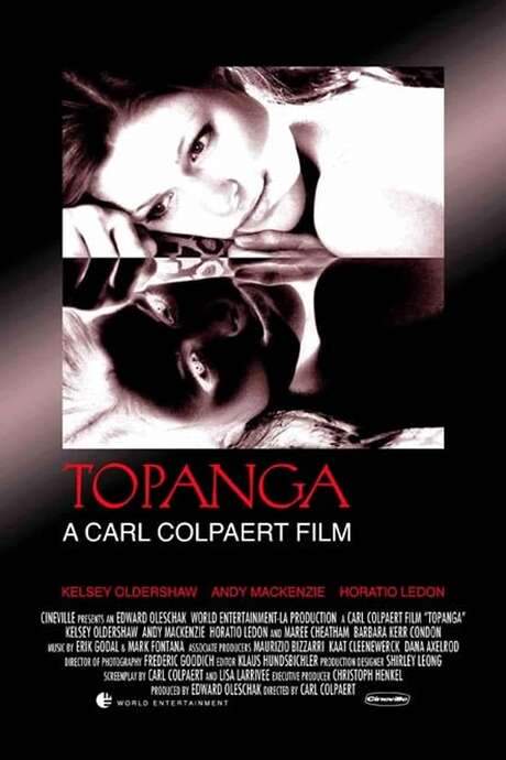 The Affair (2004) movie poster