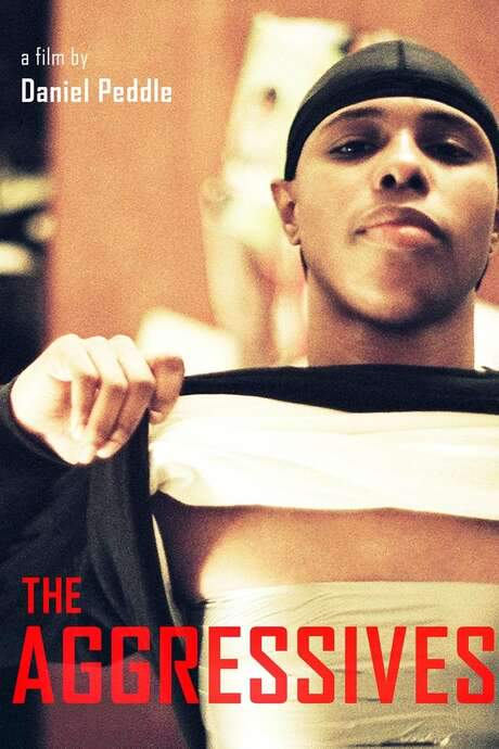 The Aggressives (2005) movie poster