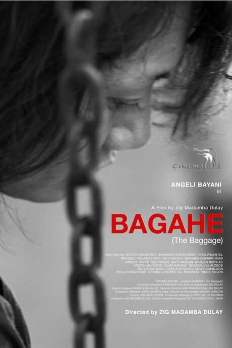 The Baggage (2017) movie poster