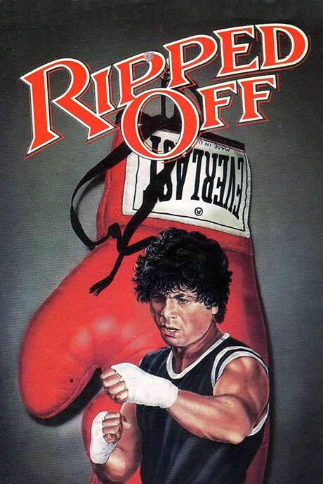 The Boxer (1972) movie poster