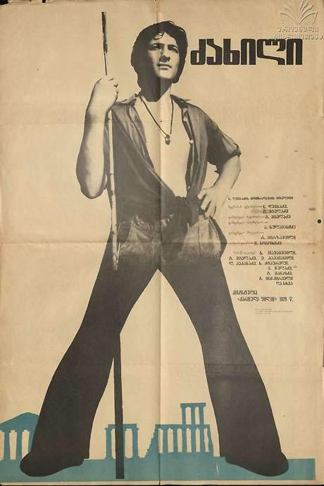 The Call (1979) movie poster