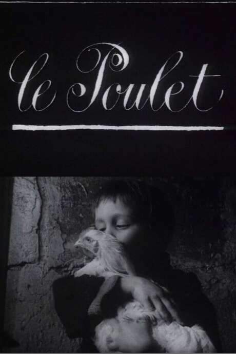 The Chicken (1965) movie poster