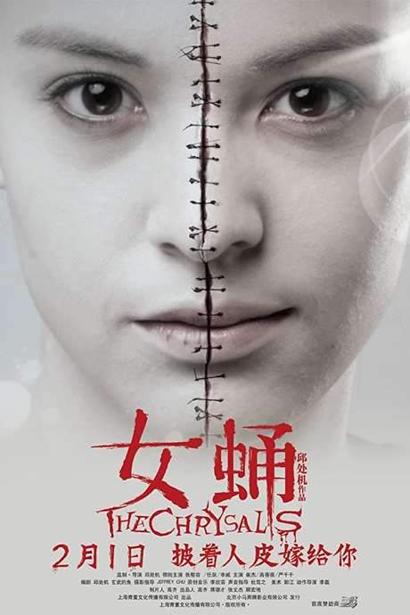 The Chrysalis (2012) movie poster