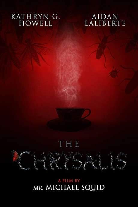 The Chrysalis (2020) movie poster