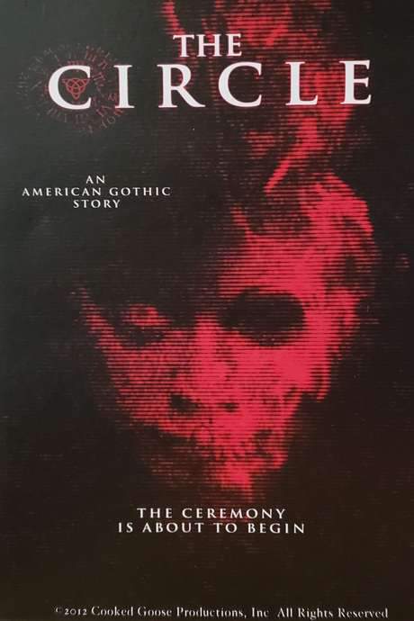The Circle (2020) movie poster
