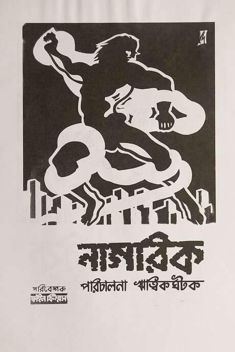 The Citizen (1977) movie poster