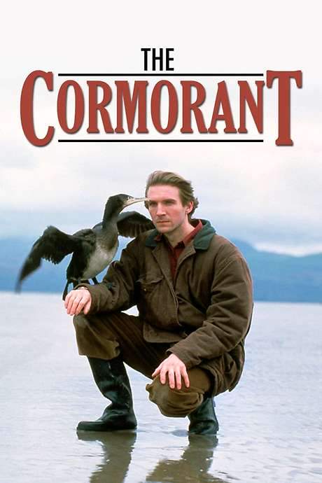 The Cormorant (1993) movie poster