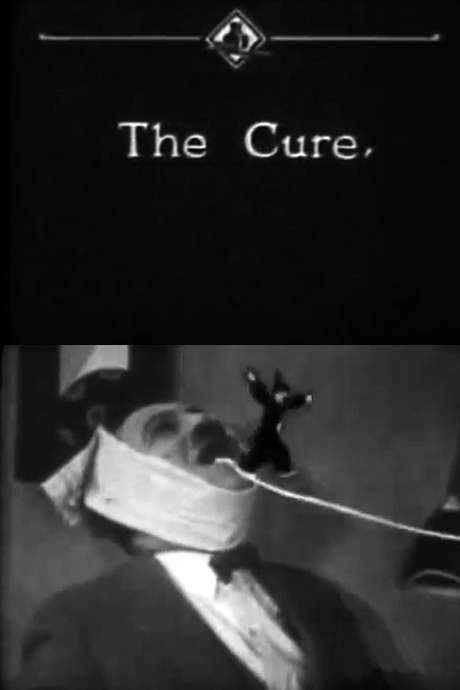 The Cure (1924) movie poster