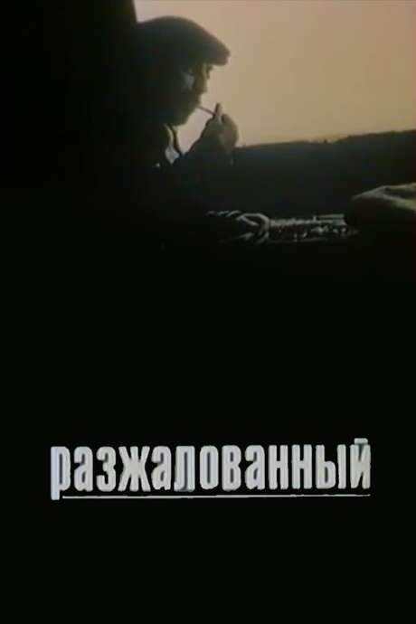 The Degraded (1980) movie poster