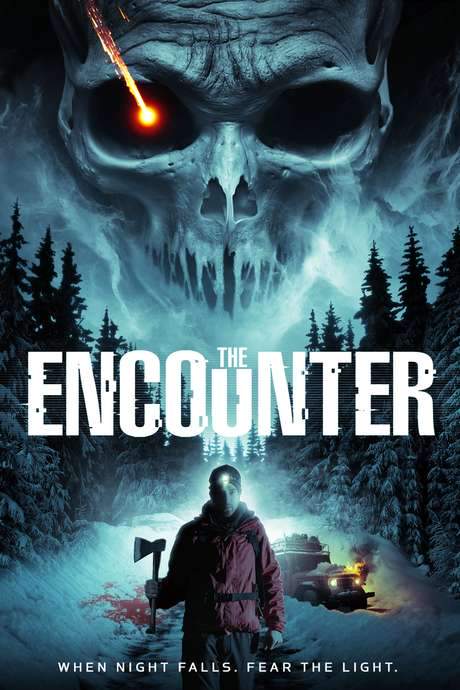 The Encounter (2015) movie poster