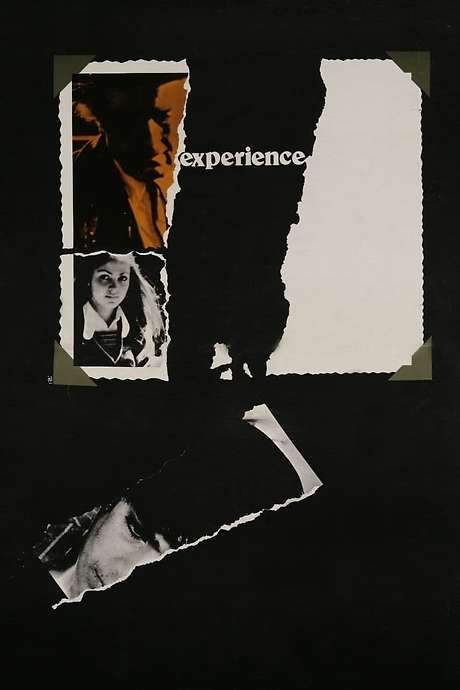 The Experience (1973) movie poster