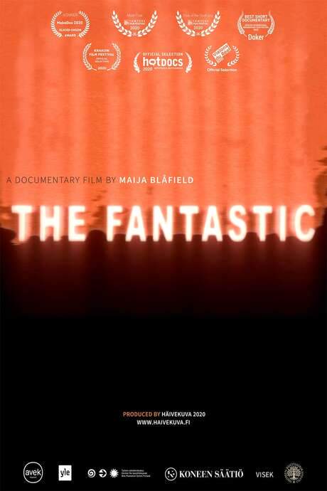 The Fantastic (2020) movie poster