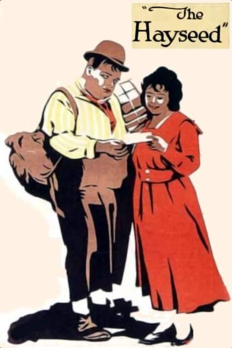 The Hayseed (1919) movie poster