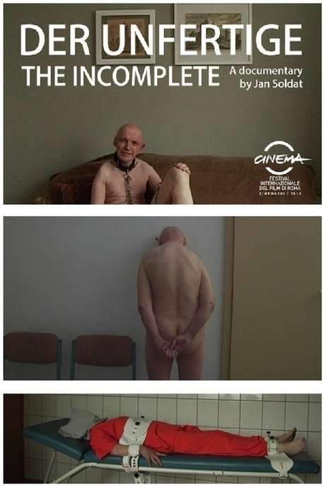 The Incomplete (2013) movie poster