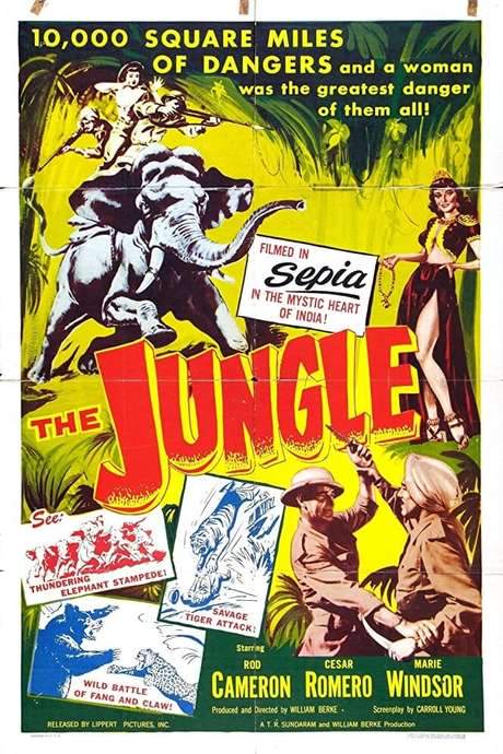 The Jungle (1952) movie poster