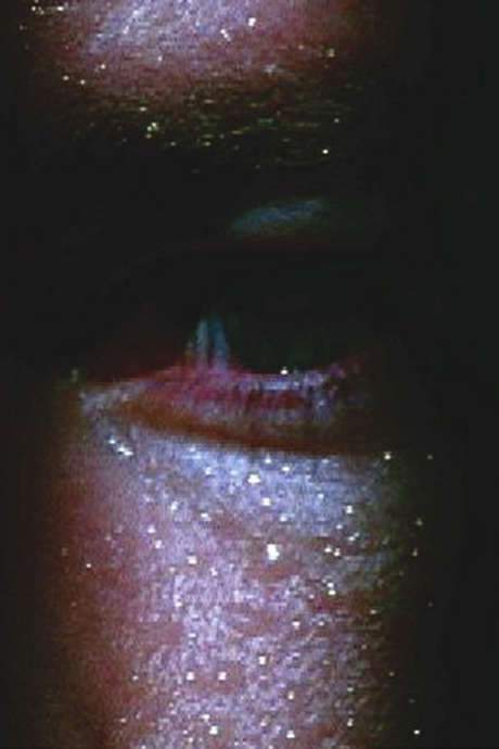The Lycantrophe (2002) movie poster