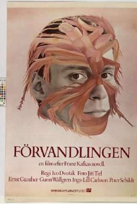 The Metamorphosis (1976) movie poster