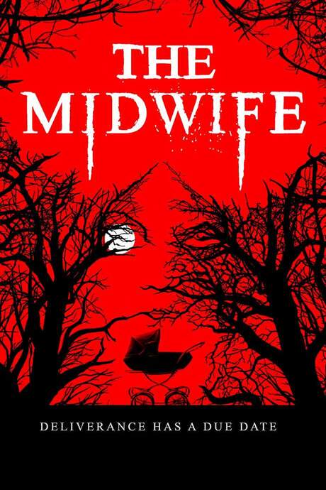 The Midwife (2021) movie poster