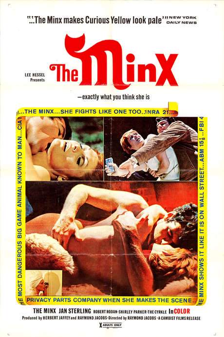 The Minx (1969) movie poster