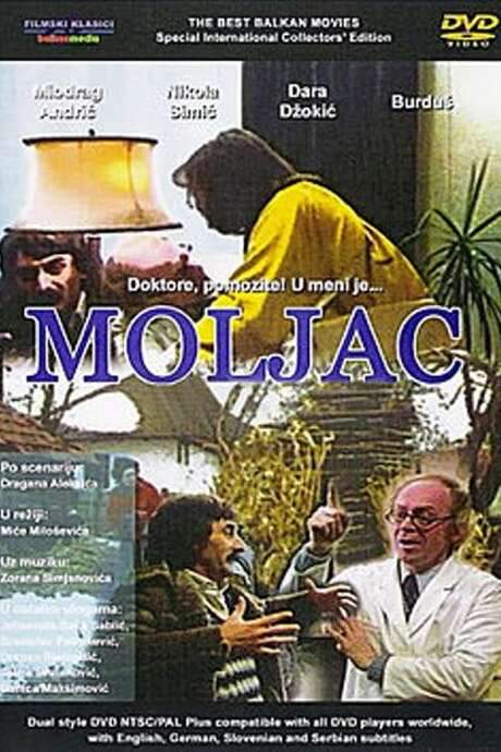 The Moth (1984) movie poster